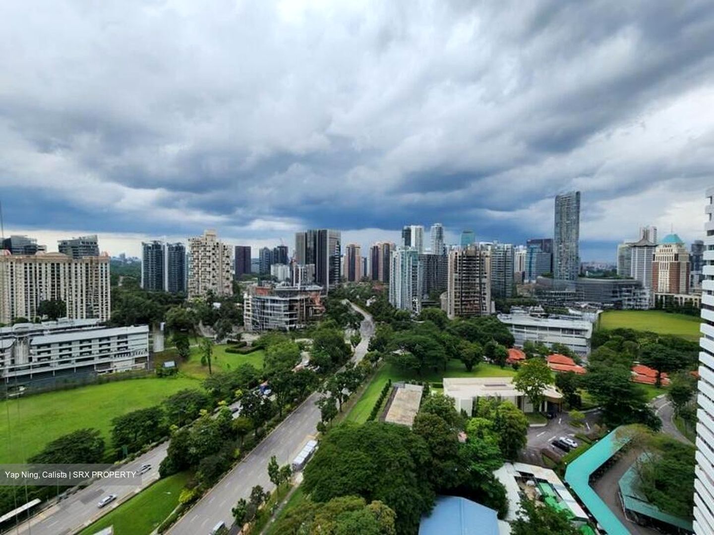 Irwell Hill Residences (D9), Apartment #502463601